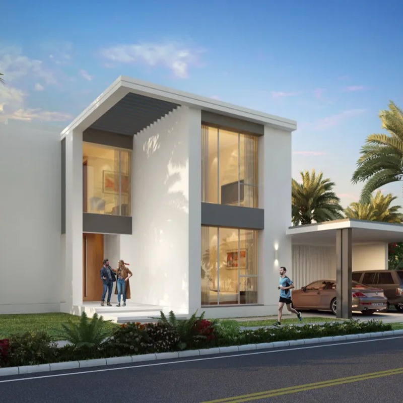 Emaar Selvara about image